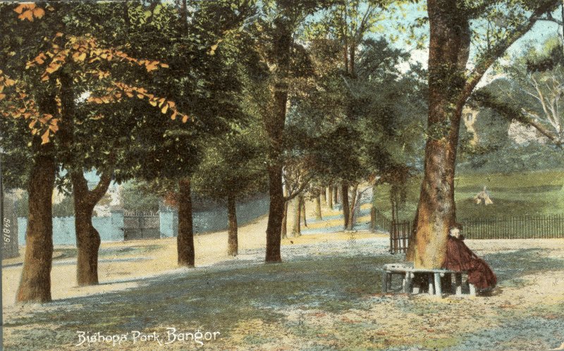 Bishop’s Park, postcard. © Crown Copyright RCAHMW.